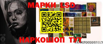 apvp Владимир