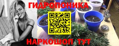 амф Владивосток