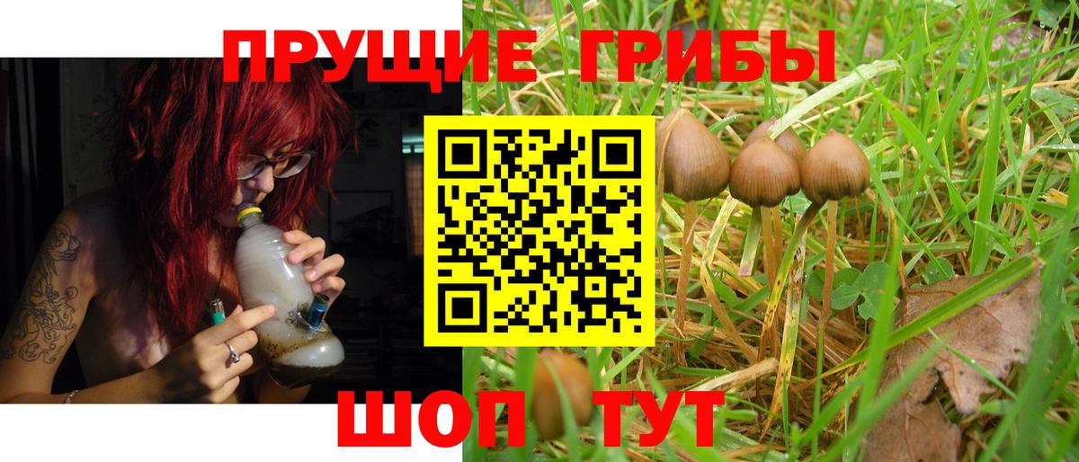 Галлюциногенные грибы Cubensis Белорецк