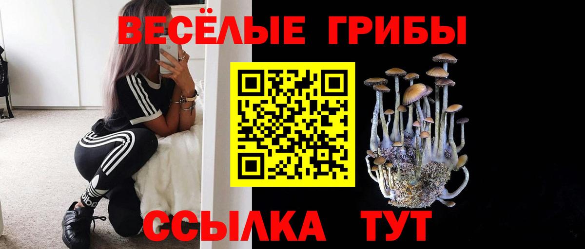 Галлюциногенные грибы прущие грибы  Вход с VPN  Белорецк 